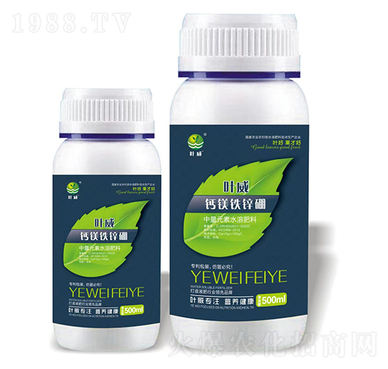 �}�V�F�\��-�~��