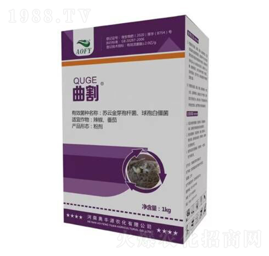 ����-�W�SԴ