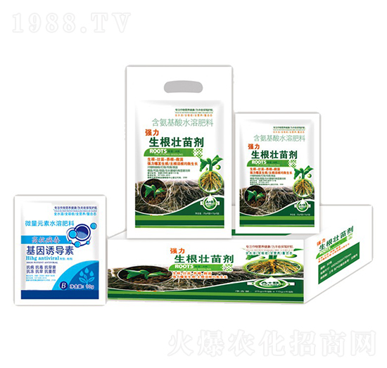 �����������焩+�����T����-�ֵϾ�