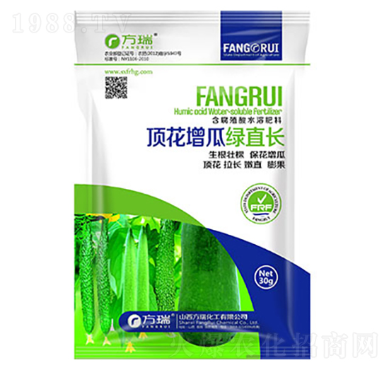 頂花增瓜綠直長-方瑞