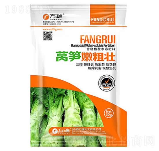 萵筍粗壯大-方瑞