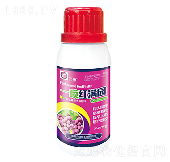 一噴紅滿園-方瑞