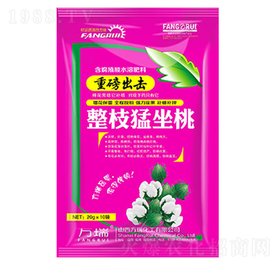 整枝猛坐桃-方瑞