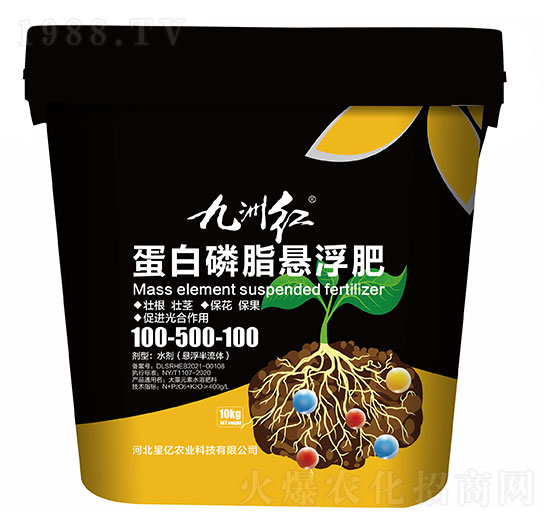 ���ݼt������֬�Ҹ���100-500-100-�ǃ|�r�I(y��)