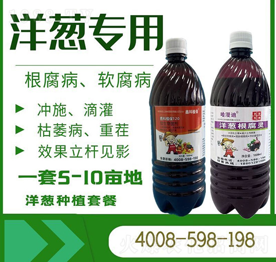 ���[����ܛ������-������-�ο�ֲ��