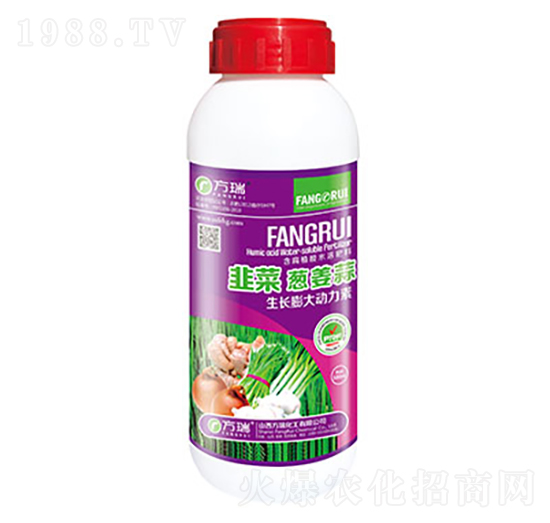 韭菜蔥姜蒜-方瑞