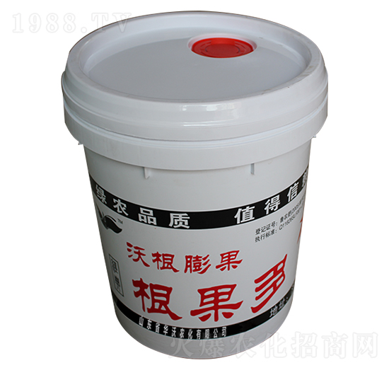 �ָ����������-�A���r��