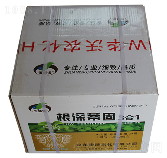 ����ٹ�3��1-�A���r��