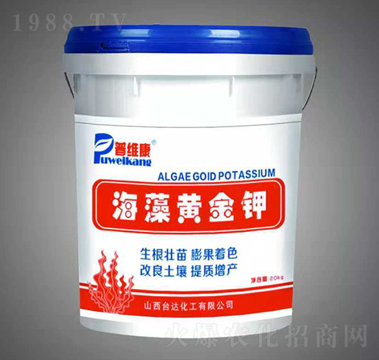 �����S���-�վS��-�_�_�ʘI(y��)