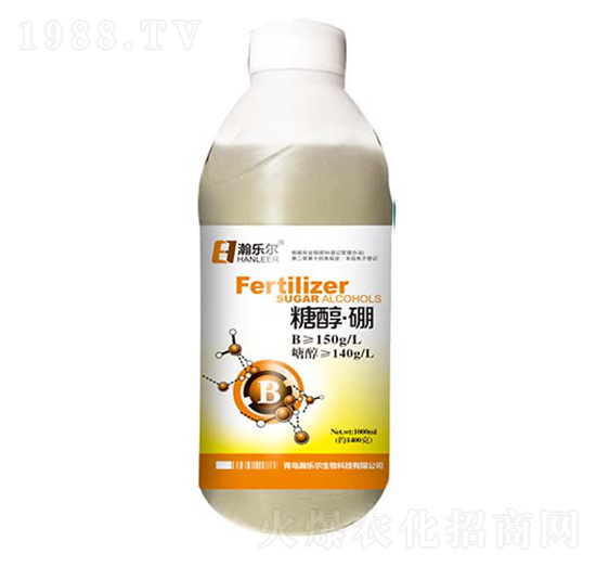 �Ǵ���-嫘���