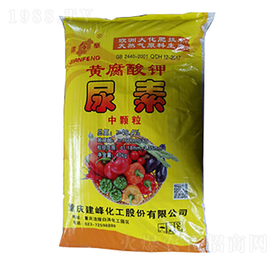 �������S���������-¡���r�Y