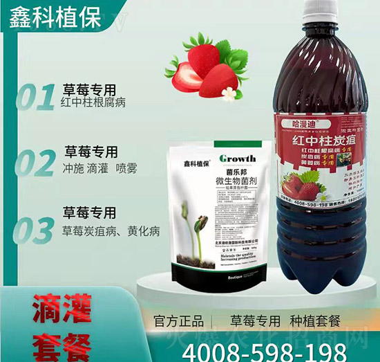 ΢�������-�t����̿��-�ο�ֲ��