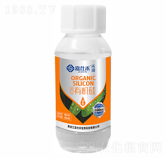 �M���ЙC��-�ѝ�-���˺�����