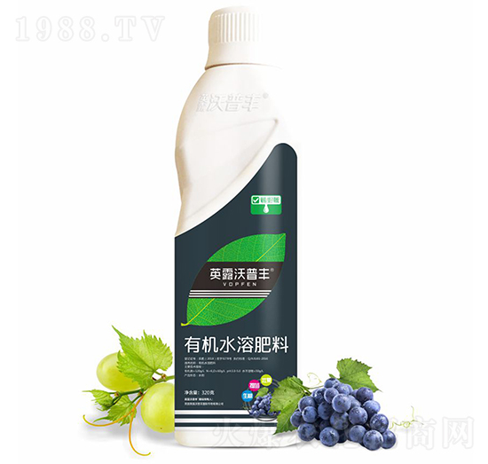葡萄提子需配有機水溶肥料-英露沃普豐