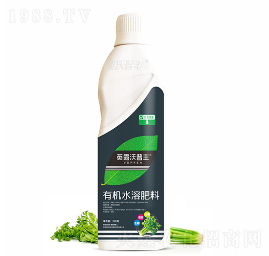 芹菜需配有機(jī)水溶肥料-英露沃普豐