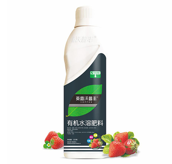 草莓需配有機水溶肥料-英露沃普豐