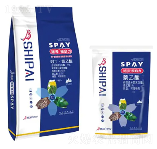 ������-ʩ������