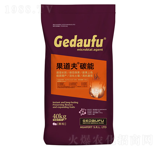 ̼��-������-���L