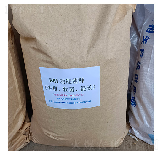 BM����ʹ��ܾ�������������L(zh��ng)��-�Ű�����