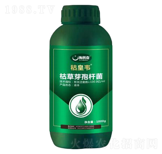 �ݲ�ѿ�ߗU��-�s���f-������