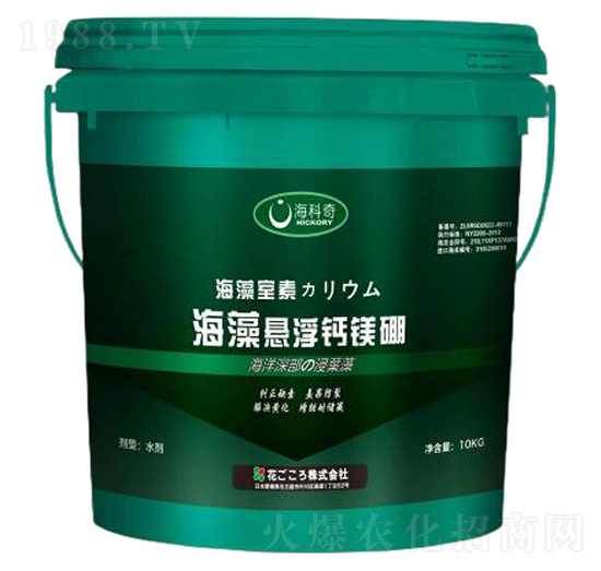 ����Ҹ��}�V��-������