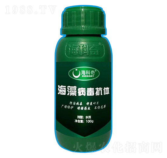 ���岡�����w-������