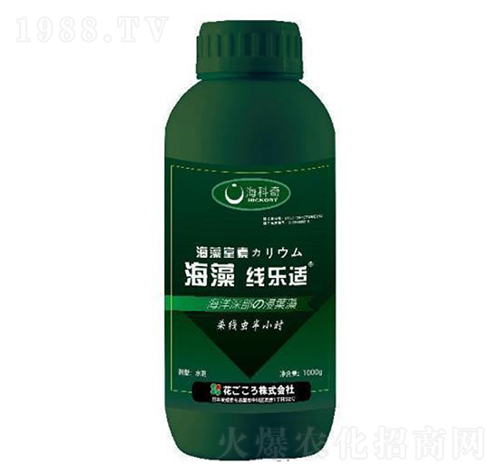 ���往���m-������