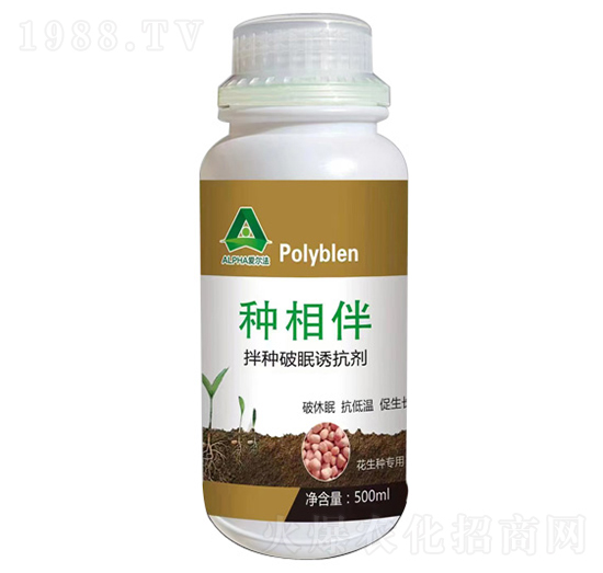 ��N�����T����-�۠���