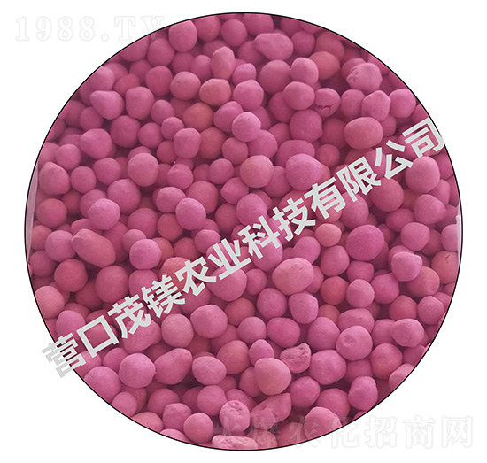 ���}�V�\���w��-ï�V�r(n��ng)�I(y��)