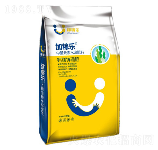 �}�V���\��-�Ӽژ�(l��)-�ڼژ�(l��)