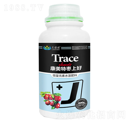 ���Ϻ�-�m�Z��-������