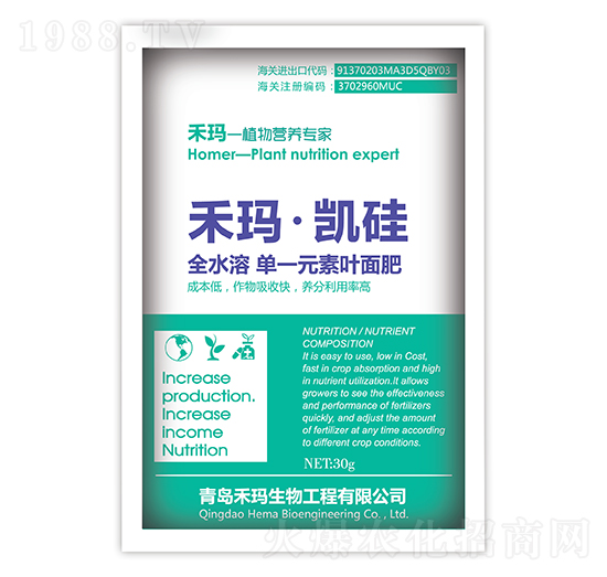 �̬����P��-�̬�����