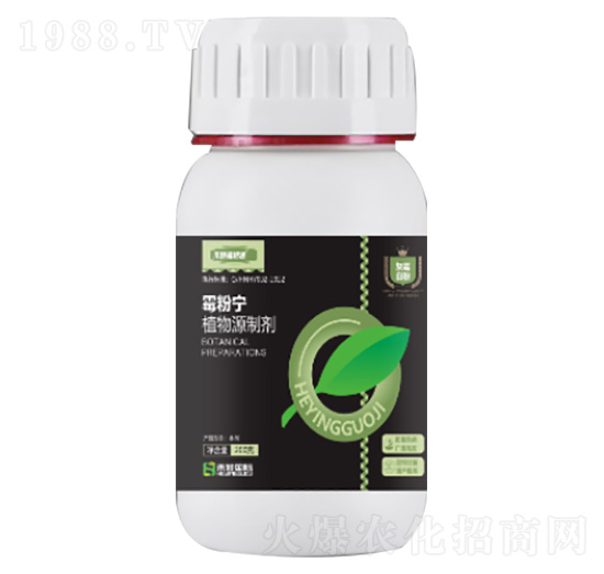 200gù�ی�-�̷f����