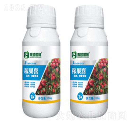 ��֦�����ی���-�ڹ�ϲ-�̷f����