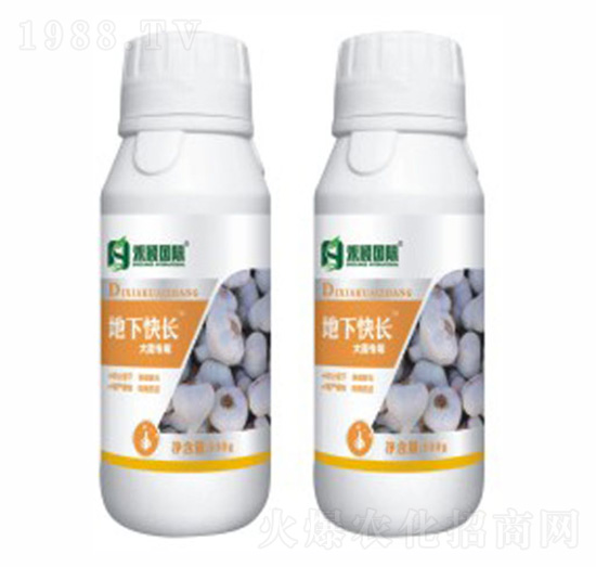 �⡢�[���������~���-���¿��L-�̷f����