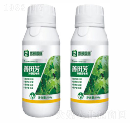 葉菜類專用葉面肥-善田芳-禾穎生物