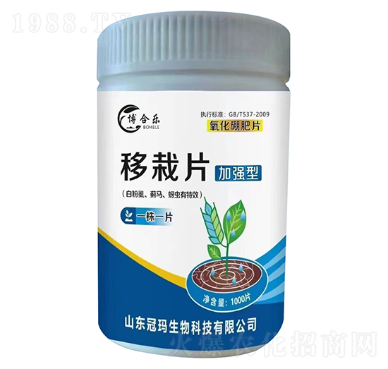 白粉虱薊馬蚜蟲專用移栽片（加強(qiáng)型）-博合樂-冠瑪農(nóng)業(yè)