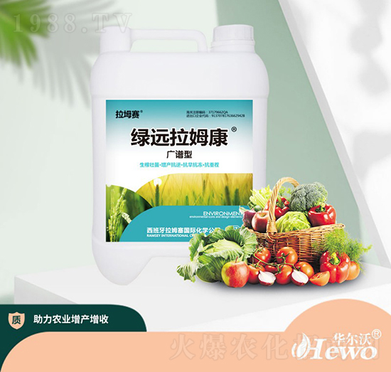 �G�h��ķ��-����ِ-�A����