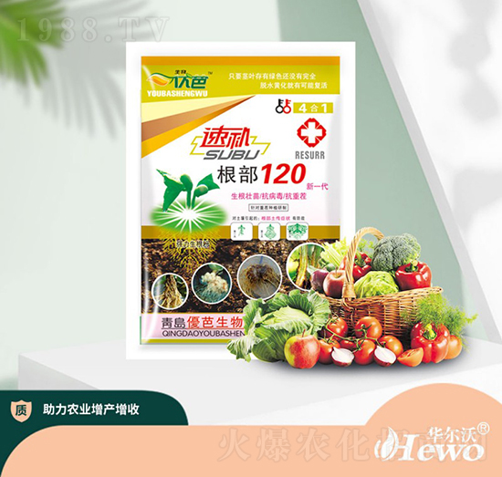 ���a(b��)����120-�A����