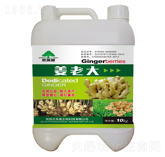 ���ϴ�-�|���S