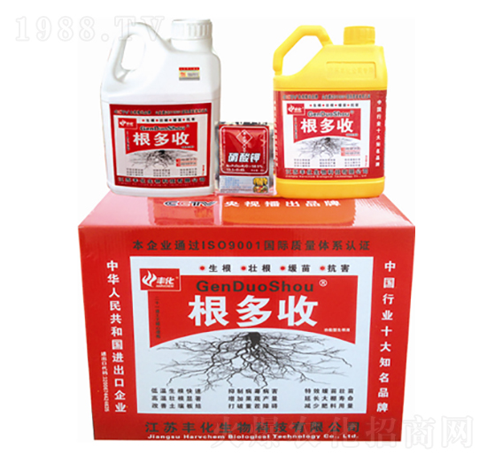 ����������(j��)���䷽-�S��