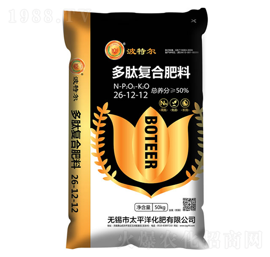 ���ďͺϷ���26-12-12-���ؠ�-̫ƽ�󻯷�