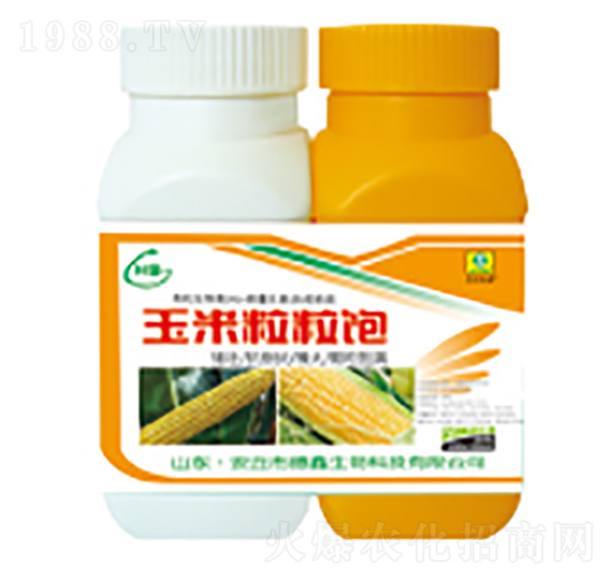 ���������-��������