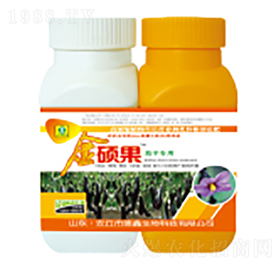 ���ӌ����~���-��T��-��������