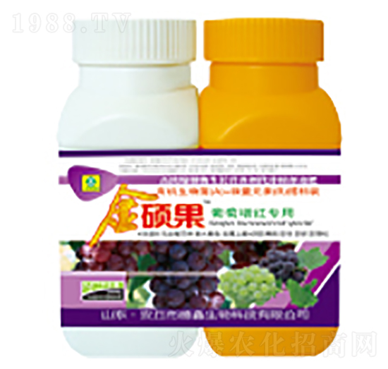 �������t�����~���-��T��-��������