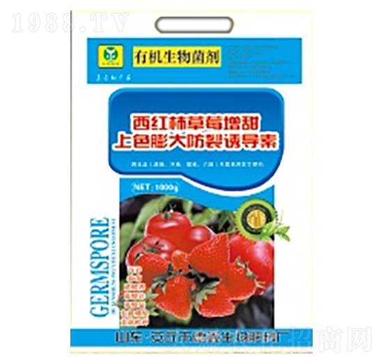 ���t����ݮ������ɫ�������T����-��������