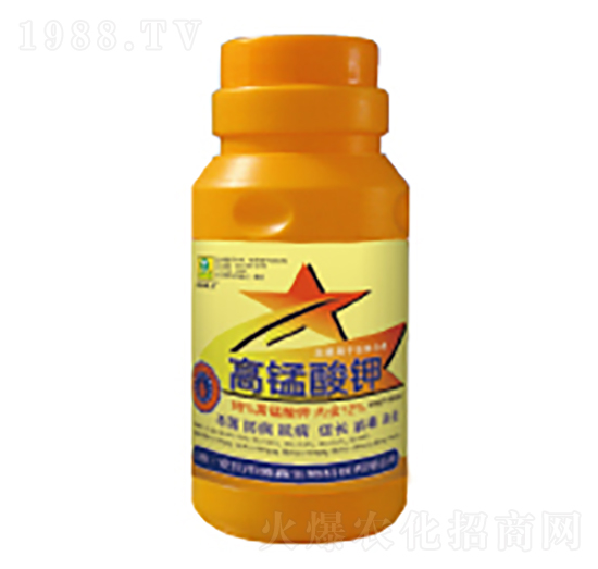 ���i���-��������