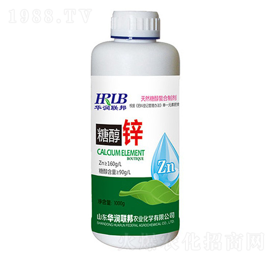 �Ǵ��\-�A���s��