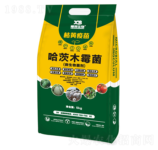 哈茨木霉菌-枯黃疫苗-曦邦生物