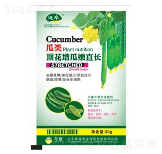 30g瓜類頂花增瓜嫩直長(zhǎng)-榮耀農(nóng)業(yè)
